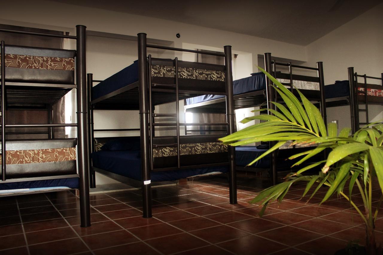 Venado Hostel Cancún Zewnętrze zdjęcie