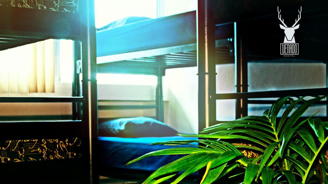 Venado Hostel Cancún Zewnętrze zdjęcie