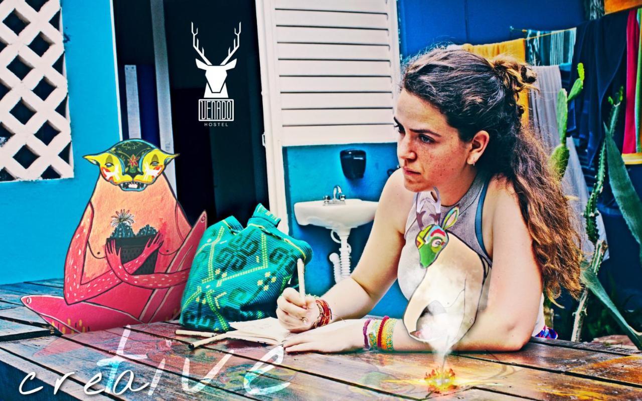 Venado Hostel Cancún Zewnętrze zdjęcie