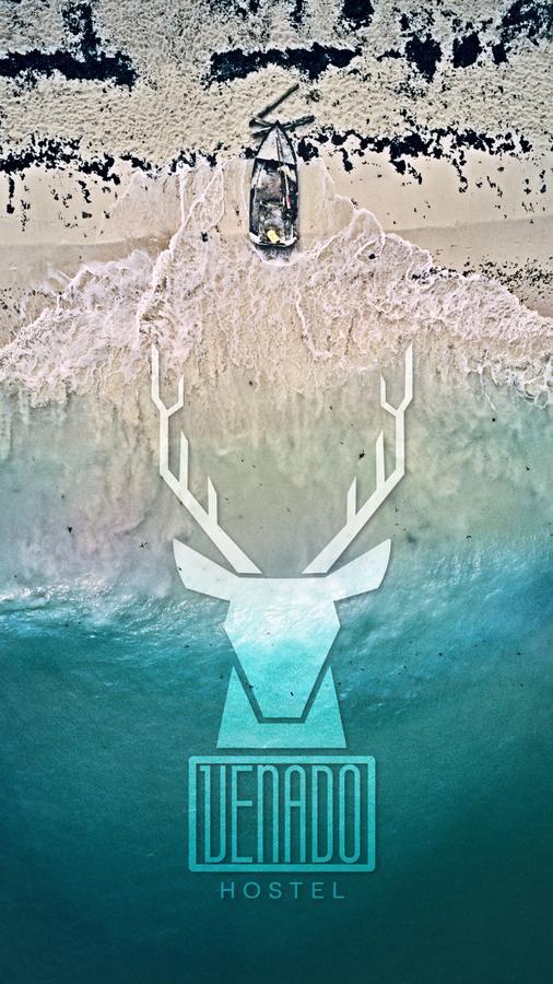 Venado Hostel Cancún Zewnętrze zdjęcie