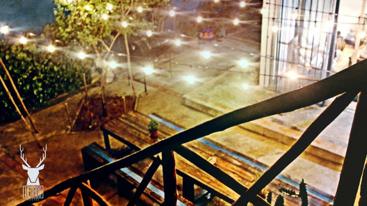 Venado Hostel Cancún Zewnętrze zdjęcie