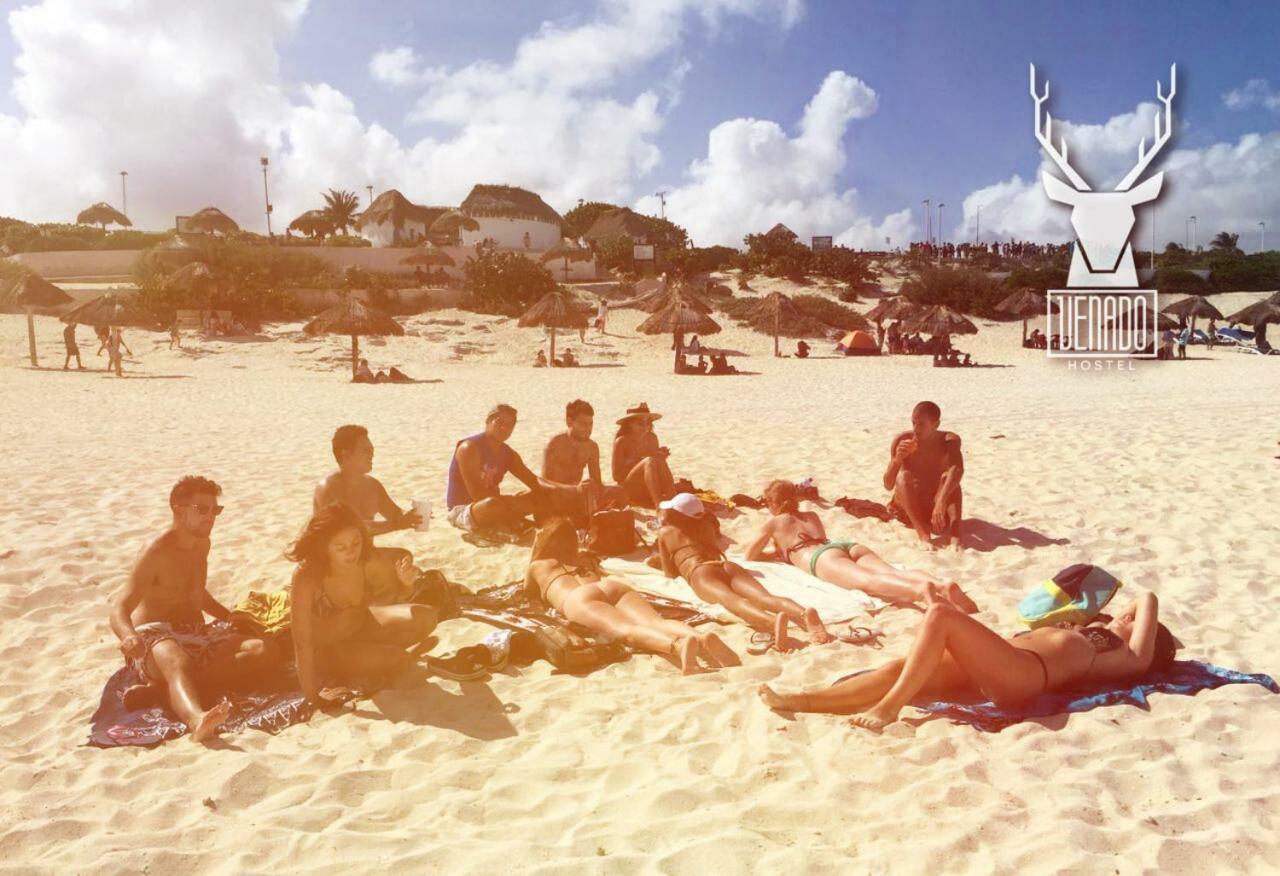 Venado Hostel Cancún Zewnętrze zdjęcie